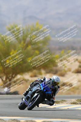 media/Apr-10-2022-SoCal Trackdays (Sun) [[f104b12566]]/Turn 5 Tree of Life (1040am)/